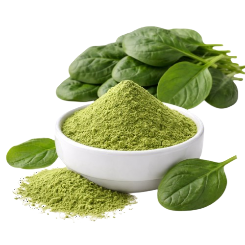 Spinach Powder